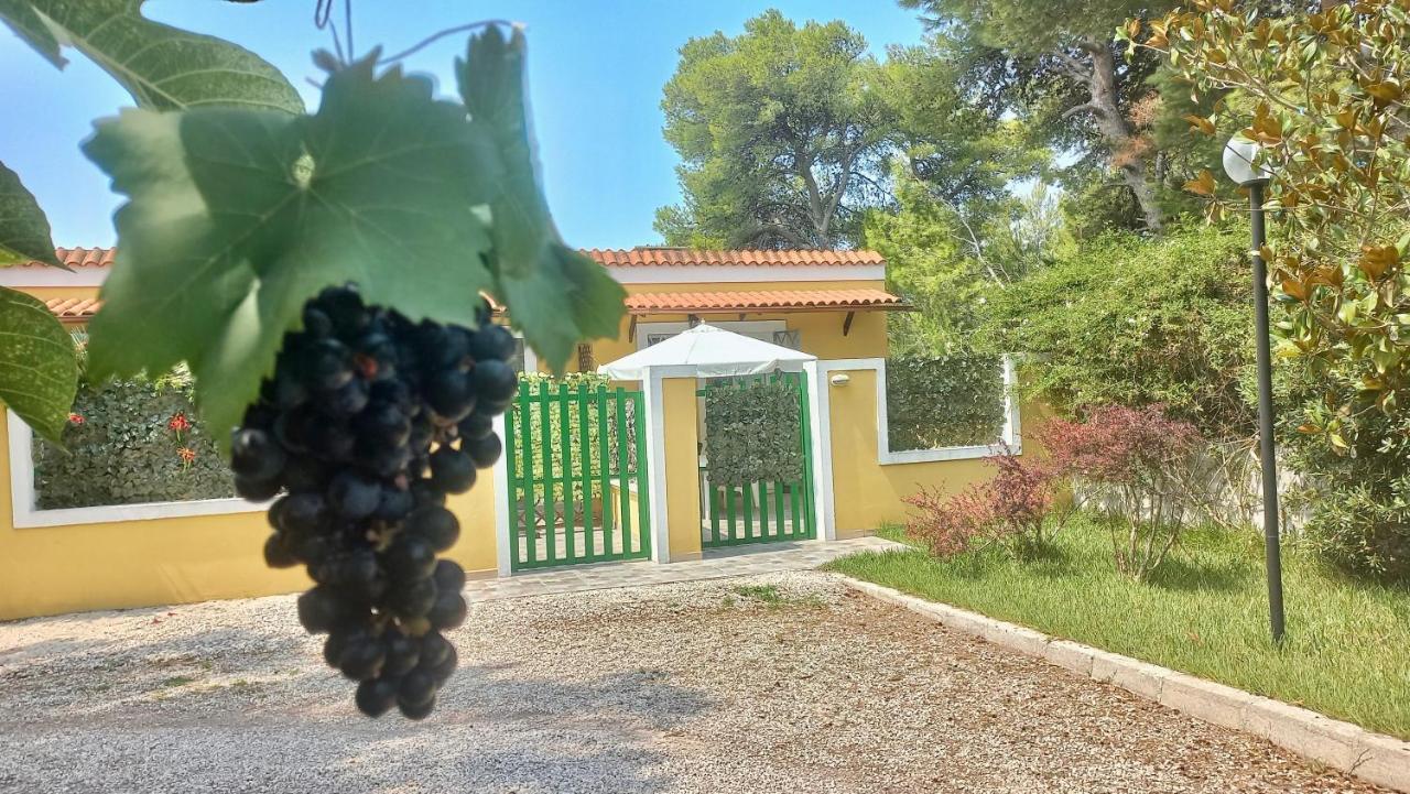 Case Barone Di Muro Torre dell'Orso Eksteriør billede